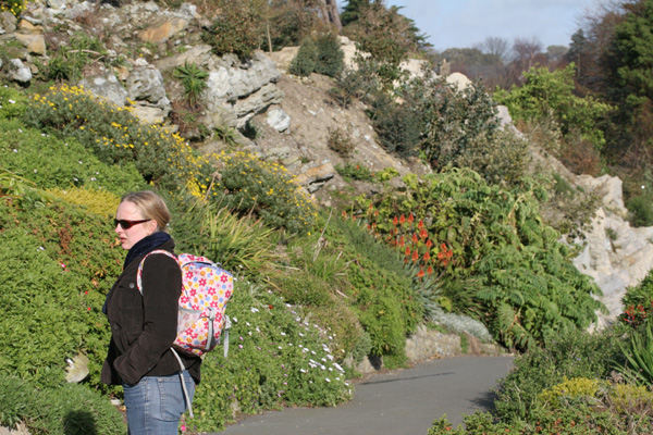 Habitat at Ventnor